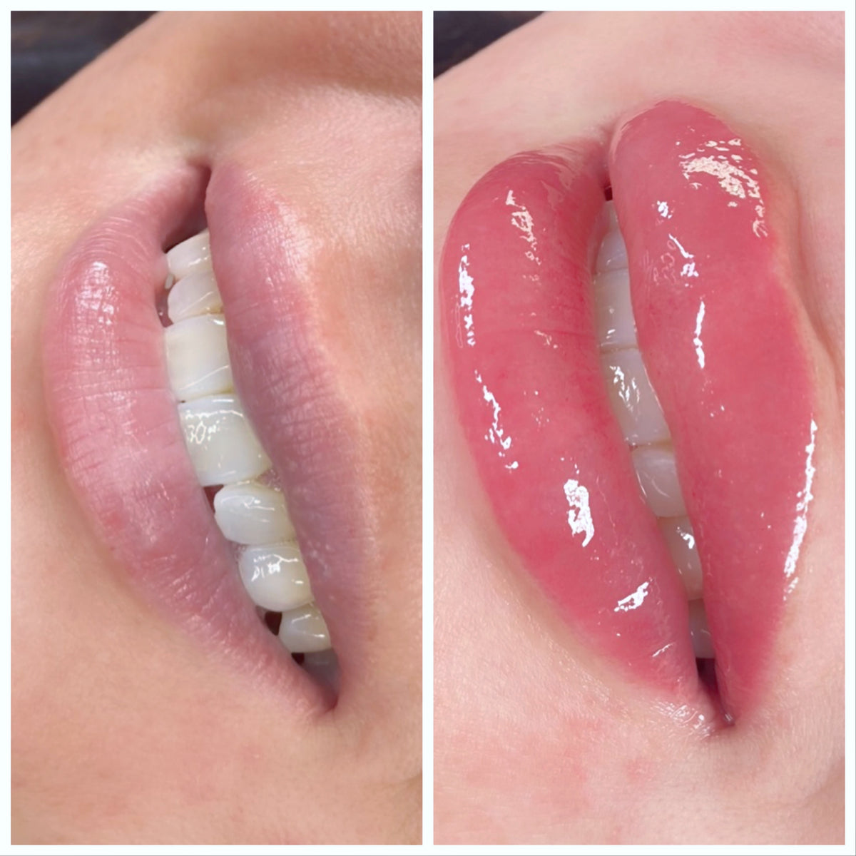 LIP BLUSHED ONLINE COURSE